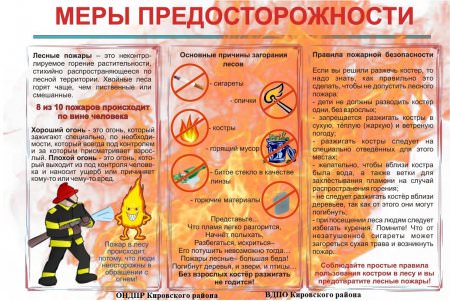 Меры предосторожности для избежания лесных пожаров