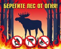 Соблюдайте правила пожарной безопасности в лесах